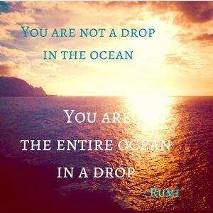 🌸🍃 One of My Favorite Rumi Quotes 🍃🌸